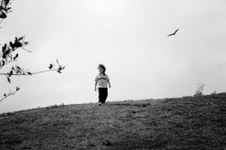 Enlarge photo 33