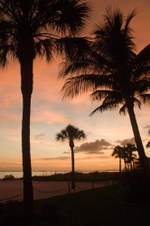 Enlarge photo 35