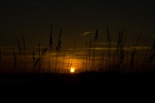Enlarge photo 36