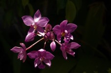 Enlarge photo 37