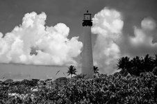 Enlarge photo 49