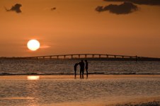 Enlarge photo 51