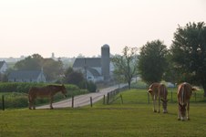 Enlarge photo 52