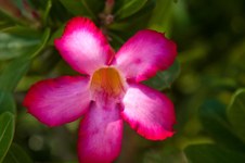 Enlarge photo 59
