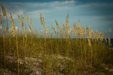Enlarge photo 64