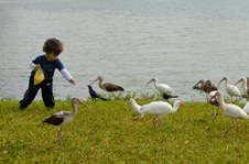 Enlarge photo 68