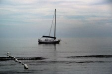Enlarge photo 86