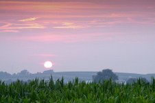 Enlarge photo 88