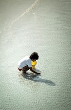Enlarge photo 97