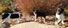 Enlarge photo 17