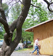 Enlarge photo 48