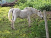 Enlarge photo 30