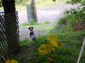 Enlarge photo 16