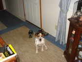 Enlarge photo 3