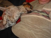 Enlarge photo 11