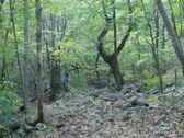 Fall 2006