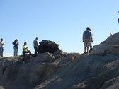 Enlarge photo 17