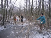 Enlarge photo 14