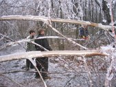 Enlarge photo 18