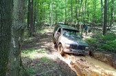 Lynn's Ride