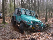 Enlarge photo 16