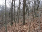 New Rock Ridge