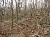 Enlarge photo 3