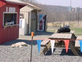 Enlarge photo 7