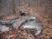 Enlarge photo 5