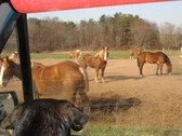 Enlarge photo 13