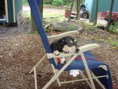 Enlarge photo 16