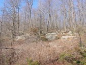 Enlarge photo 19