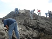 Enlarge photo 12