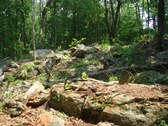 Enlarge photo 7