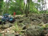 Enlarge photo 12