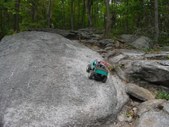 Enlarge photo 22