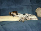 Enlarge photo 5