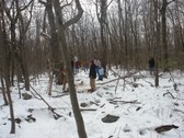 Enlarge photo 10