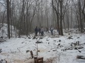 Enlarge photo 11