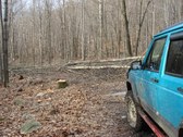 Enlarge photo 19
