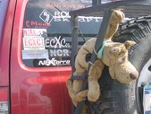 Xterra 2004