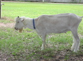 Enlarge photo 19