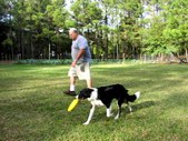 Enlarge photo 28