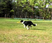 Enlarge photo 18
