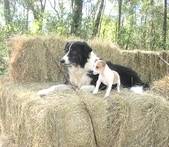 Enlarge photo 31