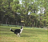 Enlarge photo 26