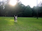 Enlarge photo 27