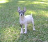 Enlarge photo 27