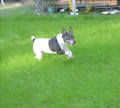 Enlarge photo 28