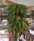 Enlarge photo 26